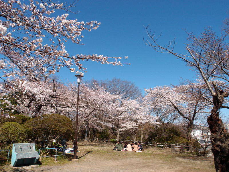 いわきたいら心療内科 » Blog Archive » 松が岡公園 福島県いわき市平 心療内科